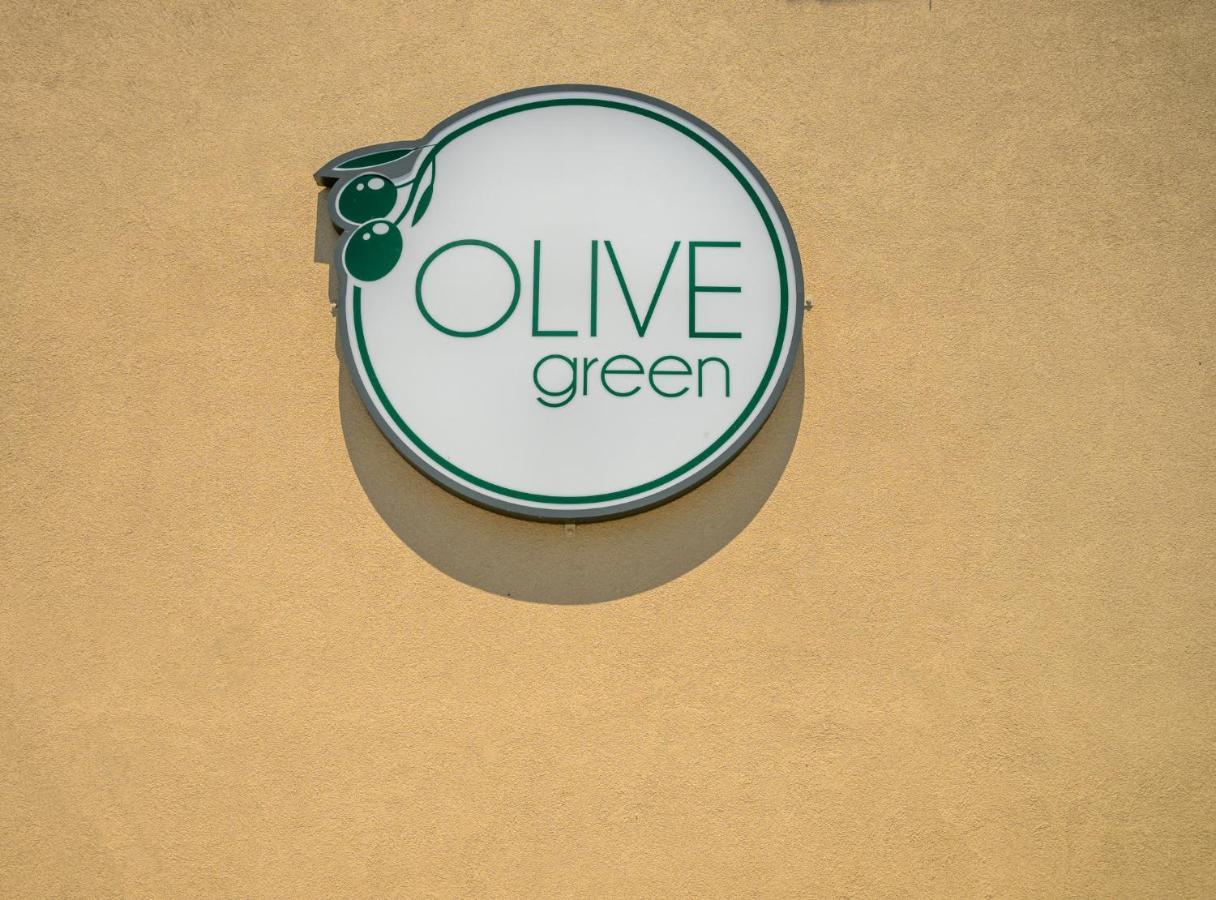 Olive Green Studios And Apartments Plomari Esterno foto
